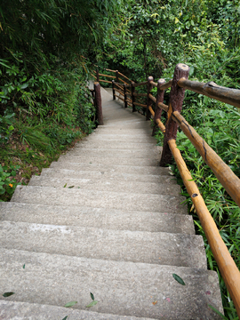 登山道