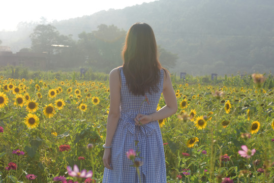 花海中的少女背影