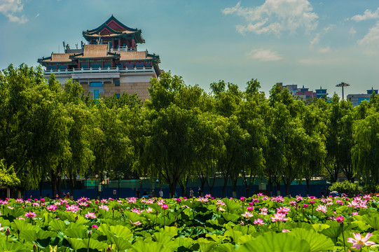 北京莲花池公园