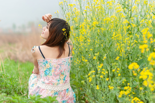 油菜花美女