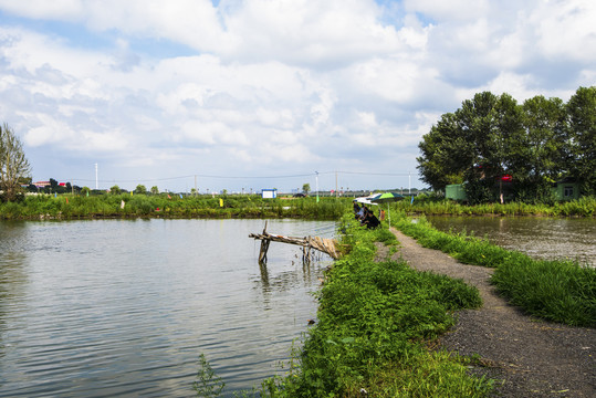 养鱼池垂钓