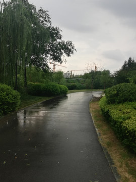 雨后公园