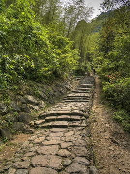 浙江衢州药王山石板路