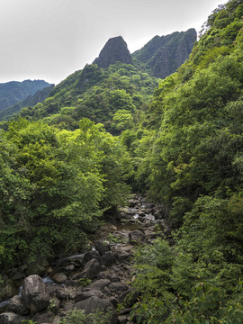 浙江衢州药王山溪流山涧