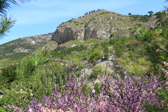 北岳恒山春光