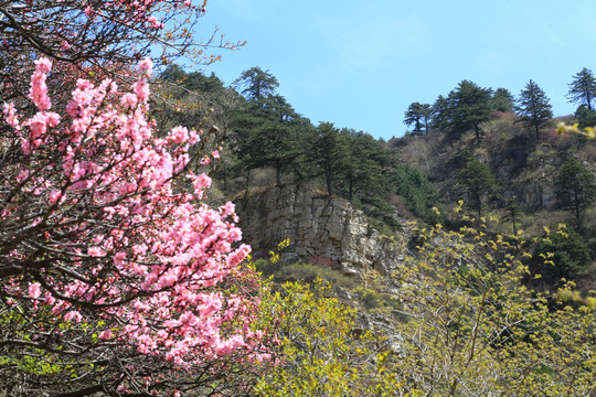 北岳恒山春色