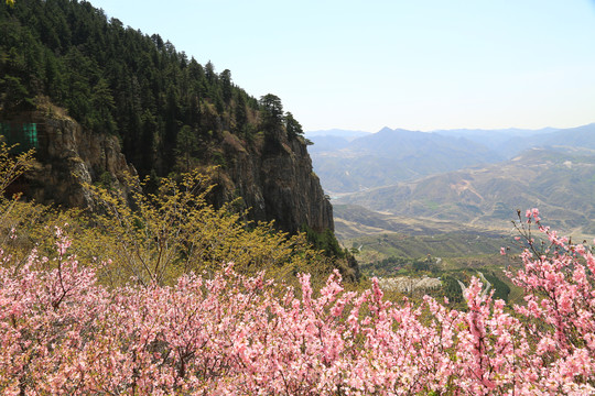 北岳恒山春色