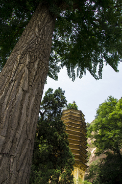 盘山万松寺