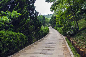 山间步道