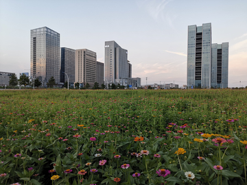 城市建筑