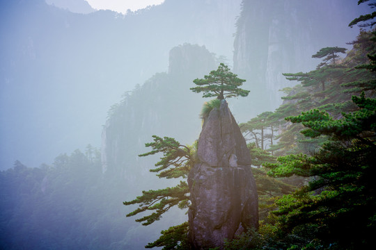 黄山奇石