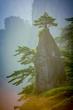 黄山奇石