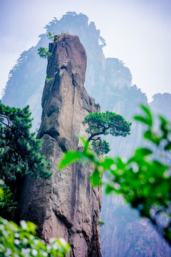 黄山奇石