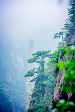 黄山奇石