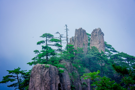 黄山奇石