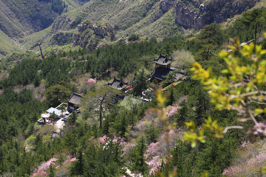 北岳恒山春色