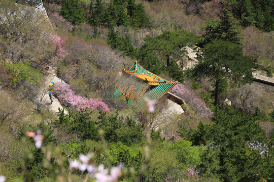 北岳恒山春色