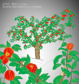 蘋果樹