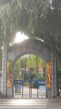 柳林小学