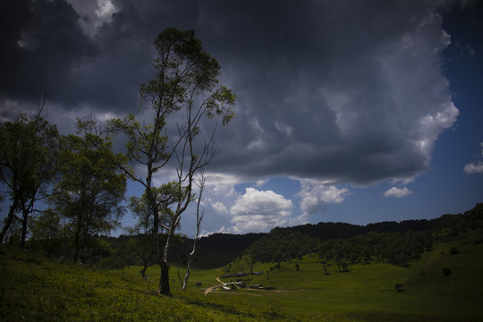 山雨欲来