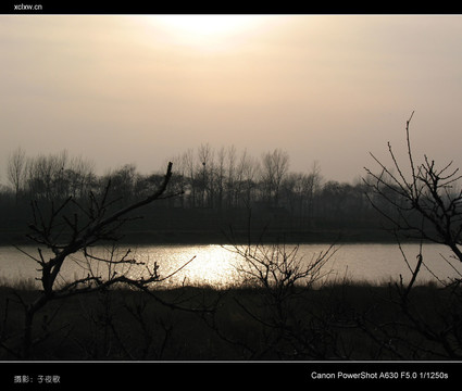 河畔夕阳