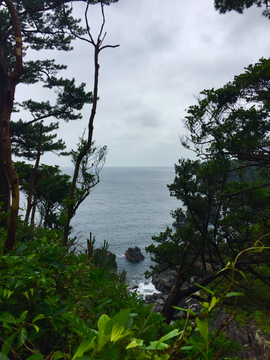 海景