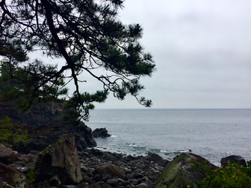 海景