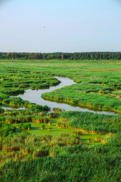 湿地