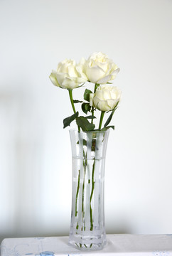 白玫瑰插瓶
