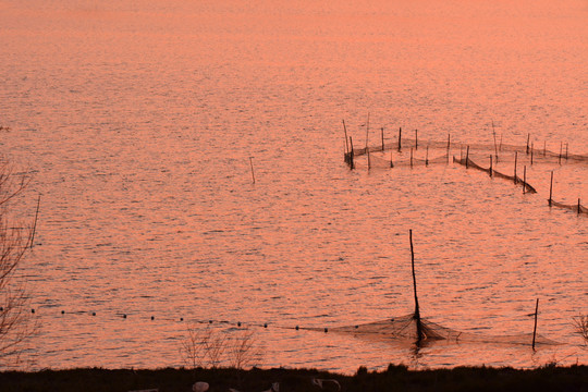 湖泊夕照