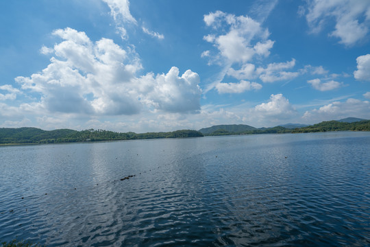 东莞同沙水库