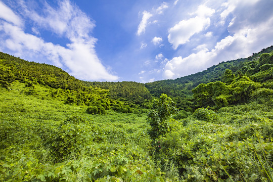 青岛崂山蓝天白云高山大海