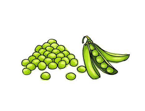 豌豆插畫