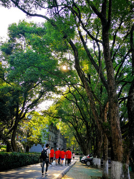 大学校园