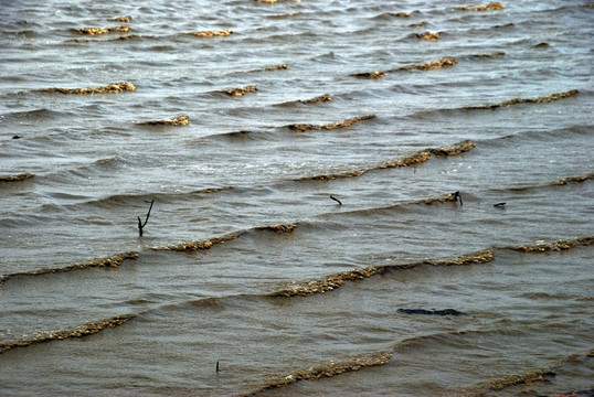 海水波纹