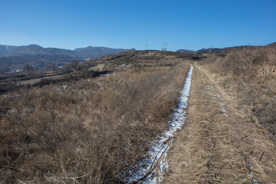 黄土高坡地貌