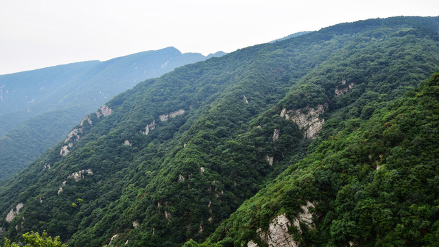 绿色的嵩山山峰景观