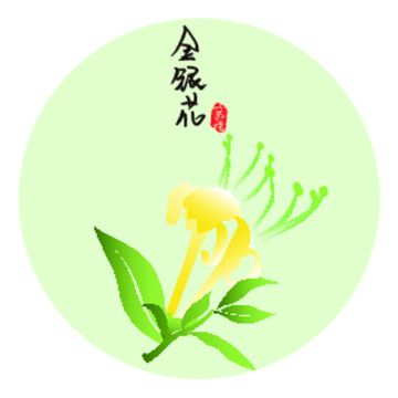 手绘金银花元素矢量图