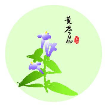 手绘黄芩元素矢量图