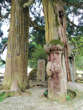 鲤鱼溪鱼冢