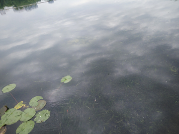 水景