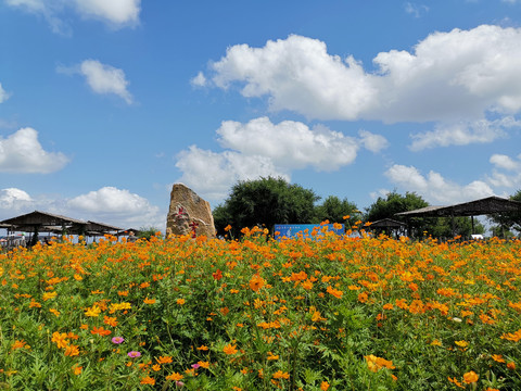 草原风景