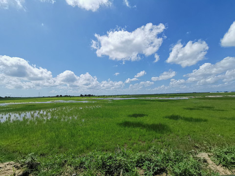 草原风景