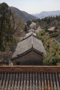 潭柘寺