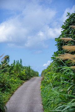 渔山岛风光