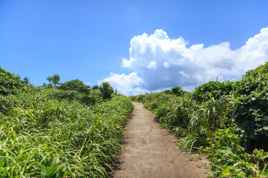 渔山岛风光