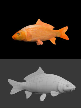 紅鯉魚模型