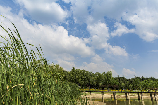 风景