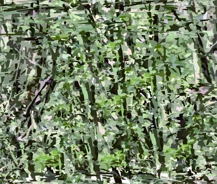 紋理設(shè)計(jì)叢林陸軍色80048