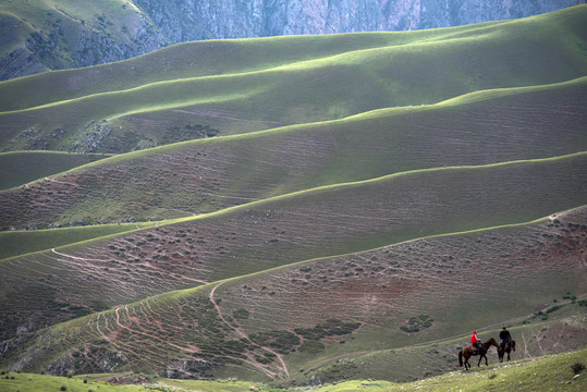 新疆伊犁喀拉峻曲线草原风光